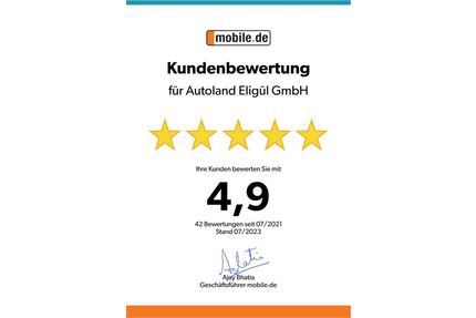 Ford Edge Gebrauchtwagen