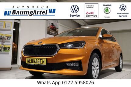 Skoda Fabia Gebrauchtwagen