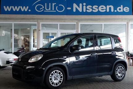 Fiat Panda Gebrauchtwagen