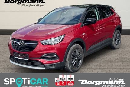 Opel Grandland (X) Gebrauchtwagen