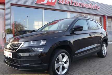 Skoda Karoq Gebrauchtwagen