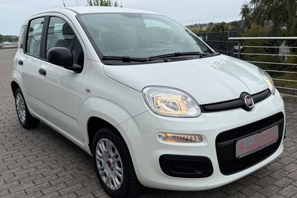 Fiat Panda Gebrauchtwagen