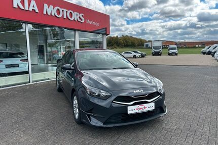 Kia ceed / Ceed Gebrauchtwagen