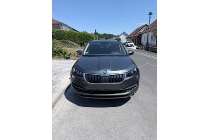 Skoda Karoq Gebrauchtwagen