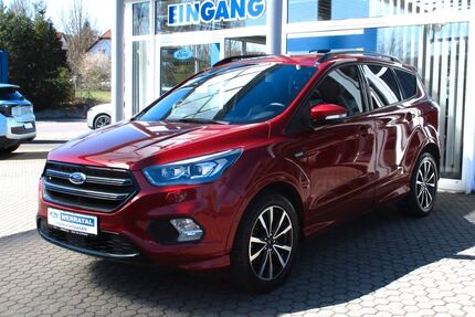 Ford Kuga Gebrauchtwagen