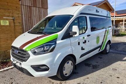 Ford Transit Custom Gebrauchtwagen