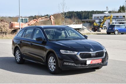 Skoda Octavia Gebrauchtwagen