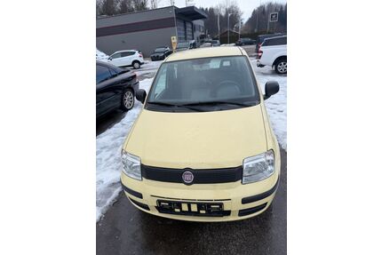Fiat Panda Gebrauchtwagen