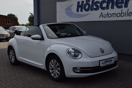 VW Beetle Gebrauchtwagen