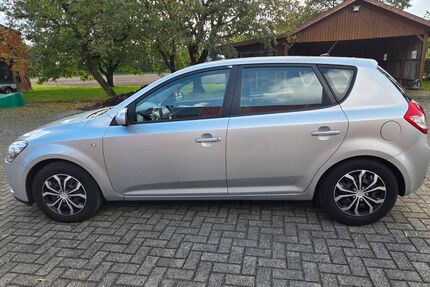 Kia ceed / Ceed Gebrauchtwagen