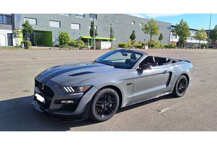 Ford Mustang Gebrauchtwagen