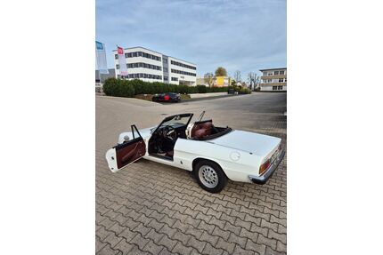 Alfa Romeo Spider Gebrauchtwagen