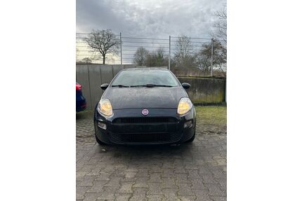 Fiat Punto Gebrauchtwagen