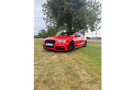 Audi A5 Gebrauchtwagen
