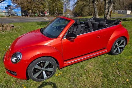 VW Beetle Gebrauchtwagen