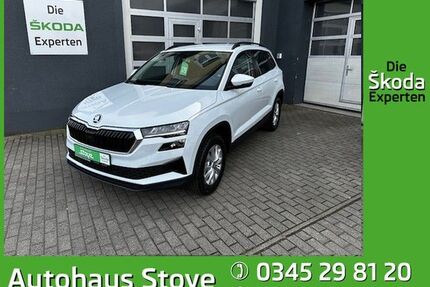 Skoda Karoq Gebrauchtwagen