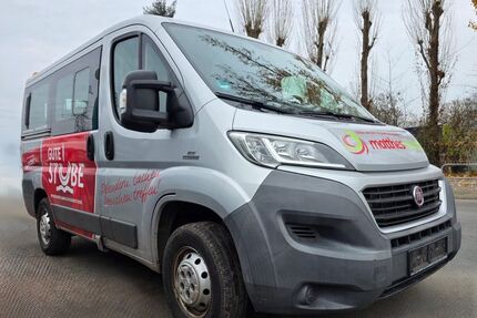Fiat Ducato Gebrauchtwagen