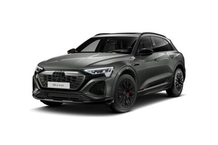 Audi Q8 e-tron Gebrauchtwagen