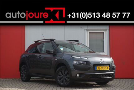 Citroen C4 Cactus Gebrauchtwagen