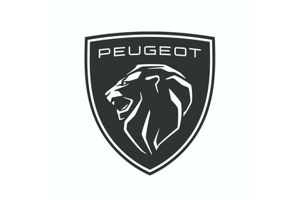 Peugeot Boxer Gebrauchtwagen