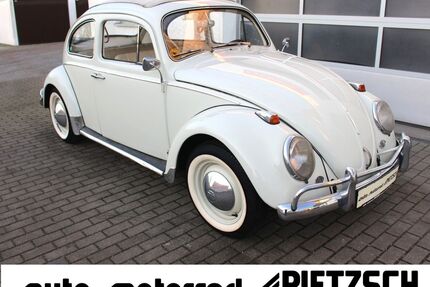 VW Käfer Gebrauchtwagen