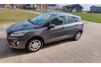 Ford Fiesta Gebrauchtwagen