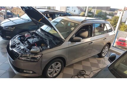 Skoda Fabia Gebrauchtwagen