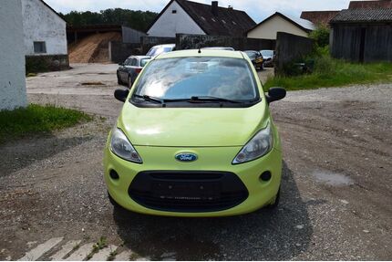 Ford Ka/Ka+ Gebrauchtwagen