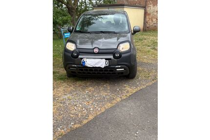 Fiat Panda Gebrauchtwagen