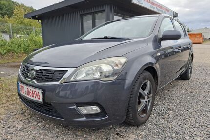 Kia ceed / Ceed Gebrauchtwagen