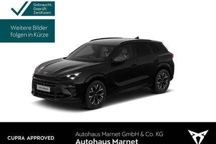 Cupra Terramar Gebrauchtwagen