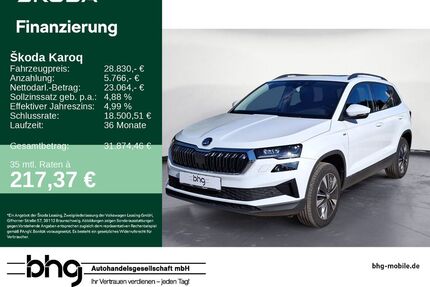 Skoda Karoq Gebrauchtwagen