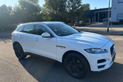 Jaguar F-Pace Gebrauchtwagen