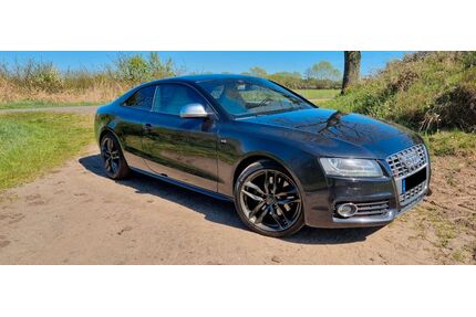 Audi S5 Gebrauchtwagen