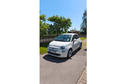 Fiat 500 Gebrauchtwagen