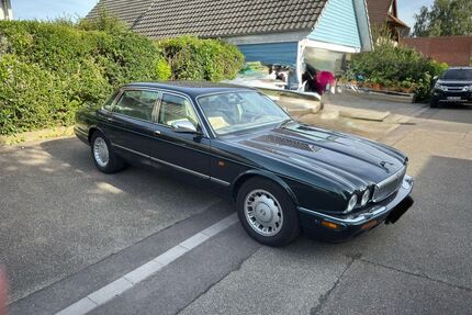 Jaguar XJ40 Gebrauchtwagen