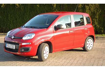 Fiat Panda Gebrauchtwagen