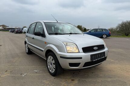 Ford Fusion Gebrauchtwagen