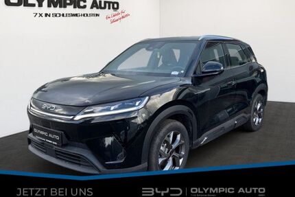 BYD ATTO 2 Gebrauchtwagen