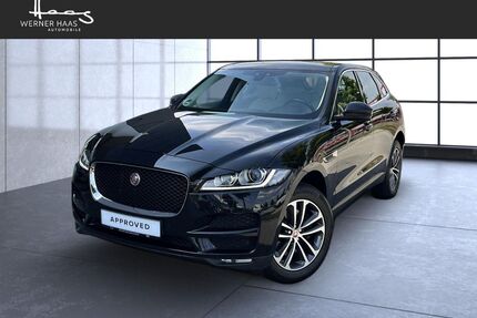 Jaguar F-Pace Gebrauchtwagen