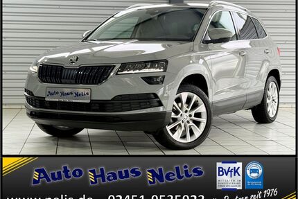 Skoda Karoq Gebrauchtwagen