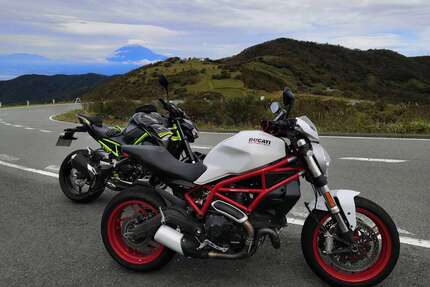 Ducati Monster 797 Gebrauchtwagen