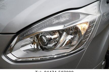 Ford Tourneo Custom Gebrauchtwagen