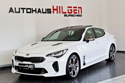 Kia Stinger Gebrauchtwagen