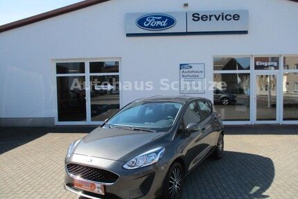 Ford Fiesta Gebrauchtwagen