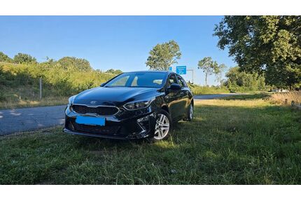 Kia ceed / Ceed Gebrauchtwagen