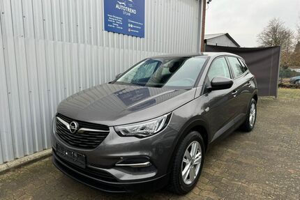 Opel Grandland (X) Gebrauchtwagen