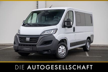 Fiat Ducato Gebrauchtwagen