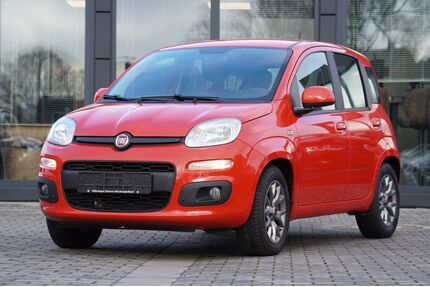 Fiat Panda Gebrauchtwagen