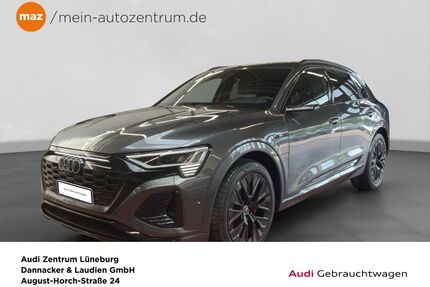 Audi Q8 e-tron Gebrauchtwagen